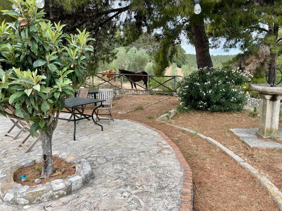 Novecento Country House Vieste Exterior photo